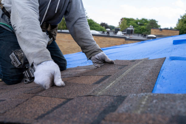 Best Shingle Roofing Installation  in Menasha, WI