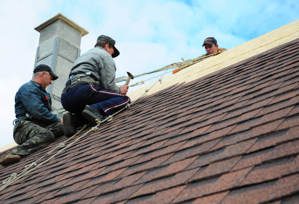 Best Affordable Roofing Company  in Menasha, WI