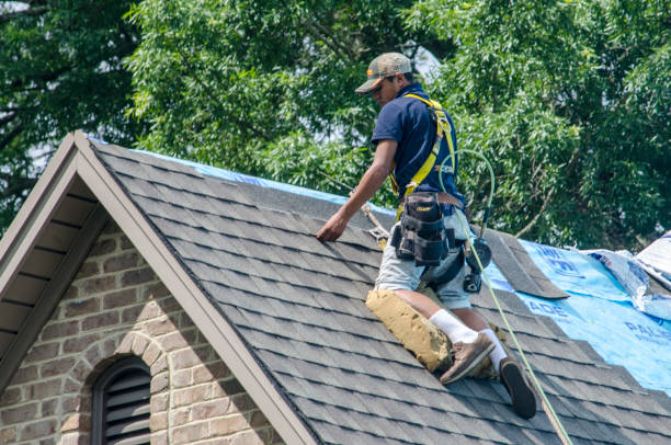 Best New Roof Installation  in Menasha, WI