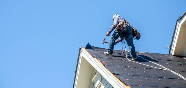 Best Sealant for Roof  in Menasha, WI